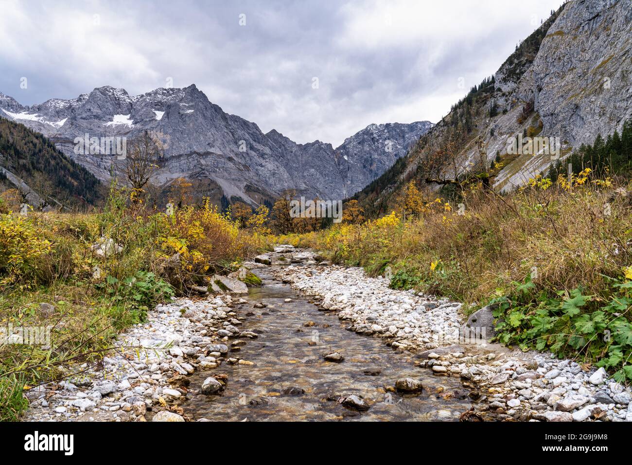 Vue d'automne des érables à Ahornboden, Karwendel, Tyrol, Autriche Banque D'Images