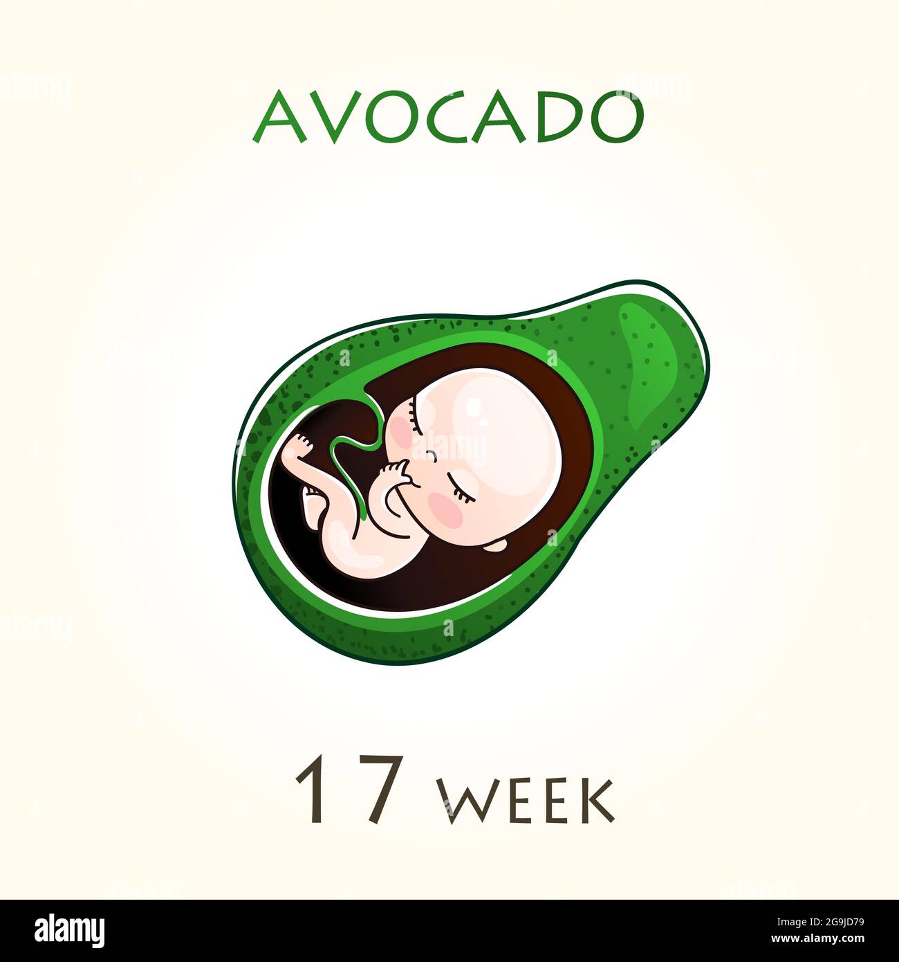 Foetus humain 17 semaines Banque de photographies et d’images à haute résolution Alamy