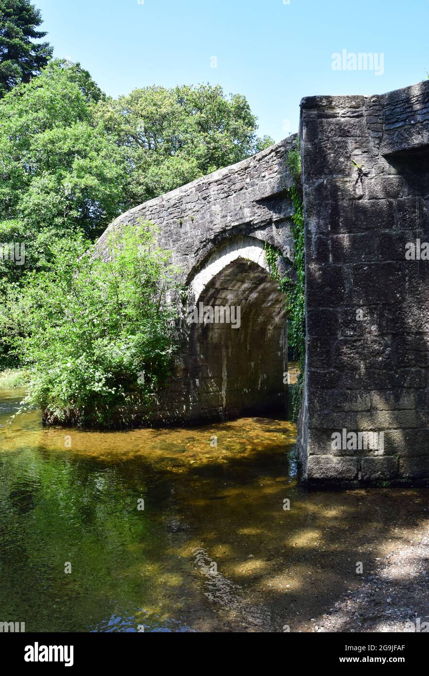 Rivière Fowey, Lanhydrock, 160721 Banque D'Images