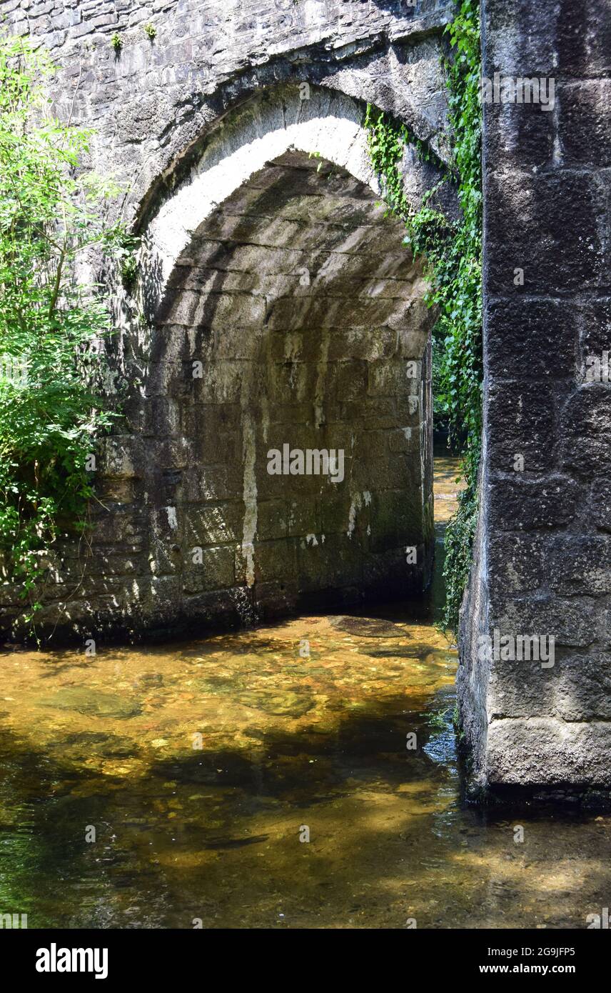 Rivière Fowey, Lanhydrock, 160721 Banque D'Images