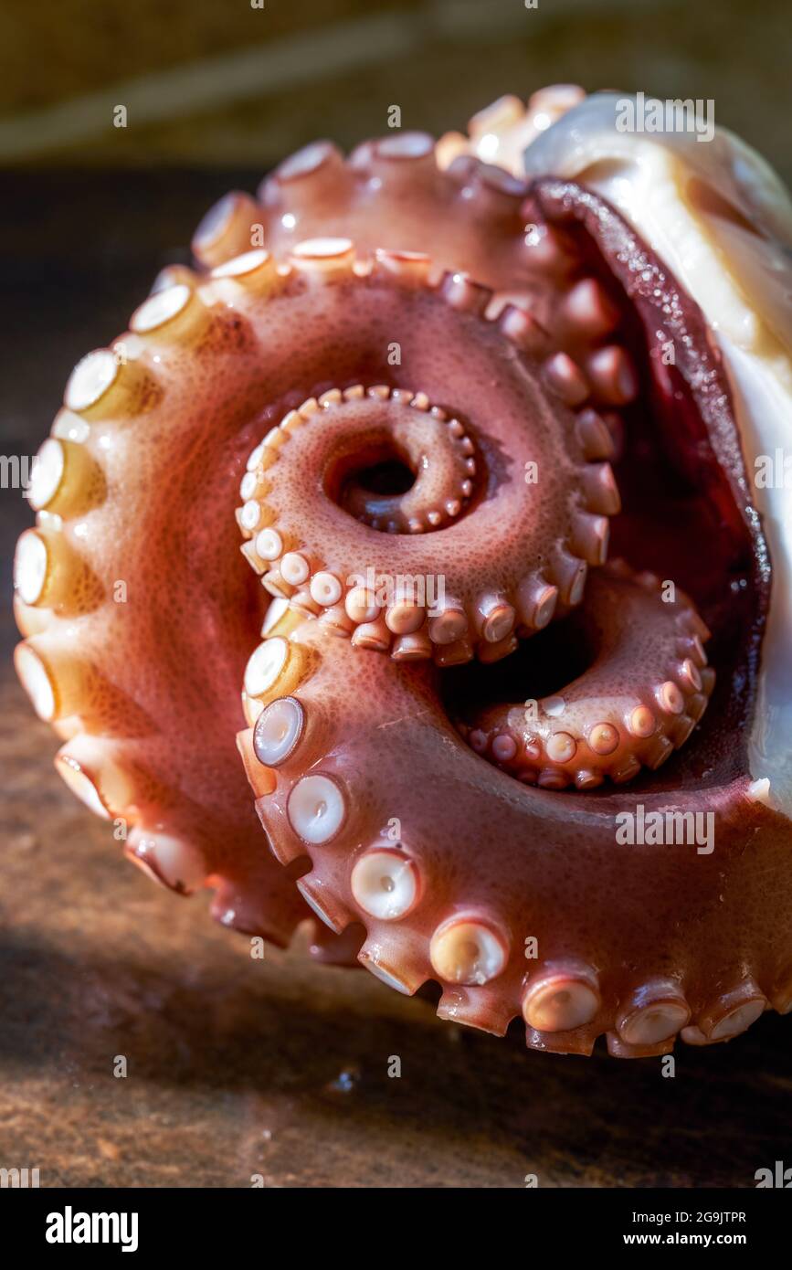 Gros pieuvre cuit éboulé, gros plan des tentacules de pieuvre contractés Banque D'Images