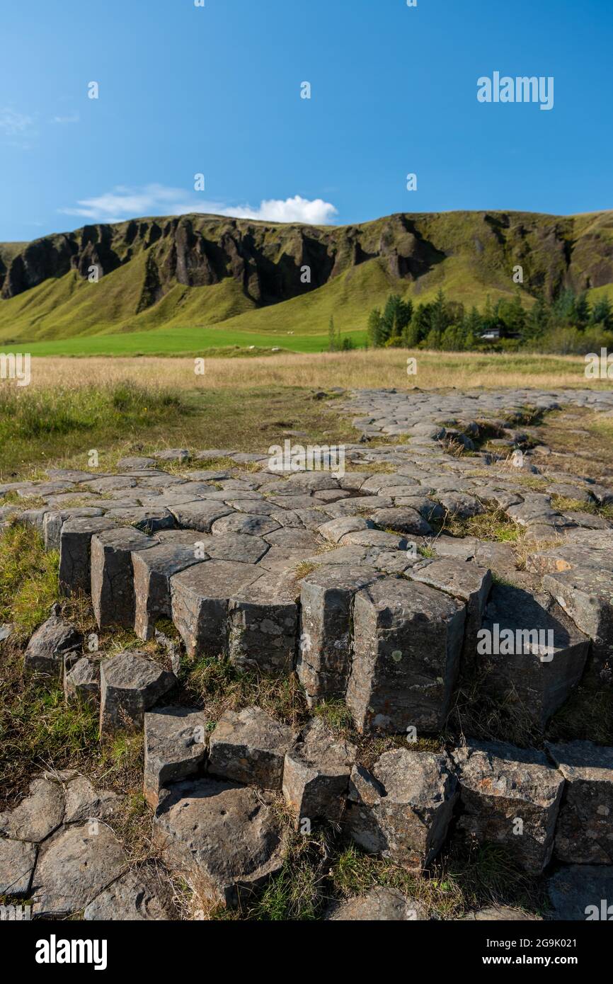 Colonnes de basalte sculptées par les glaciers, Kirkjugolf ou trottoir d'église, Kirkjubaejarklaustur, Skaftarhreppur, Suourland, Islande Banque D'Images