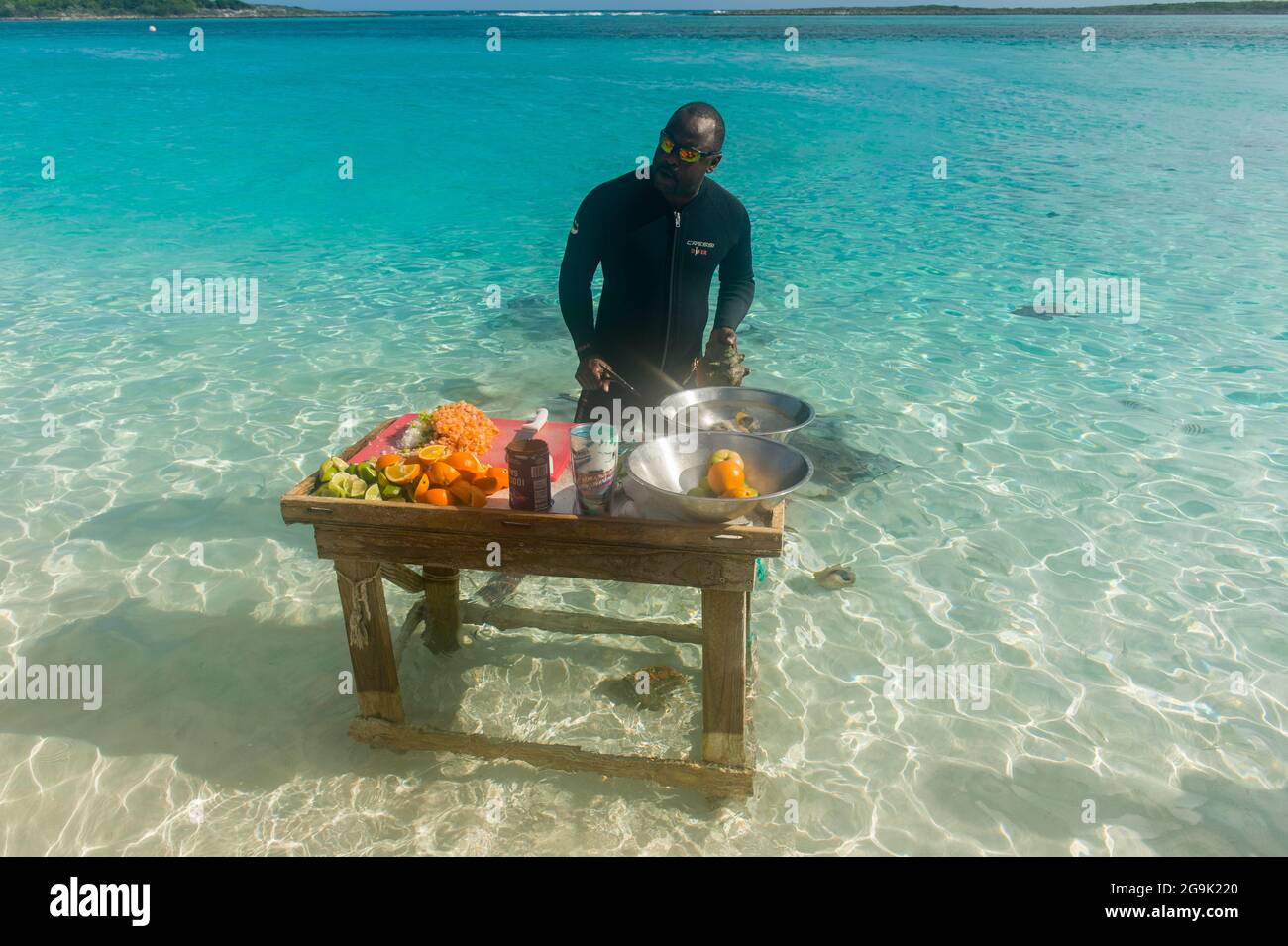 Homme local préparant un conch cockctail tandis qu'un rayon tourbillonne autour de ses pieds, Exumas, Bahamas, Caraïbes Banque D'Images