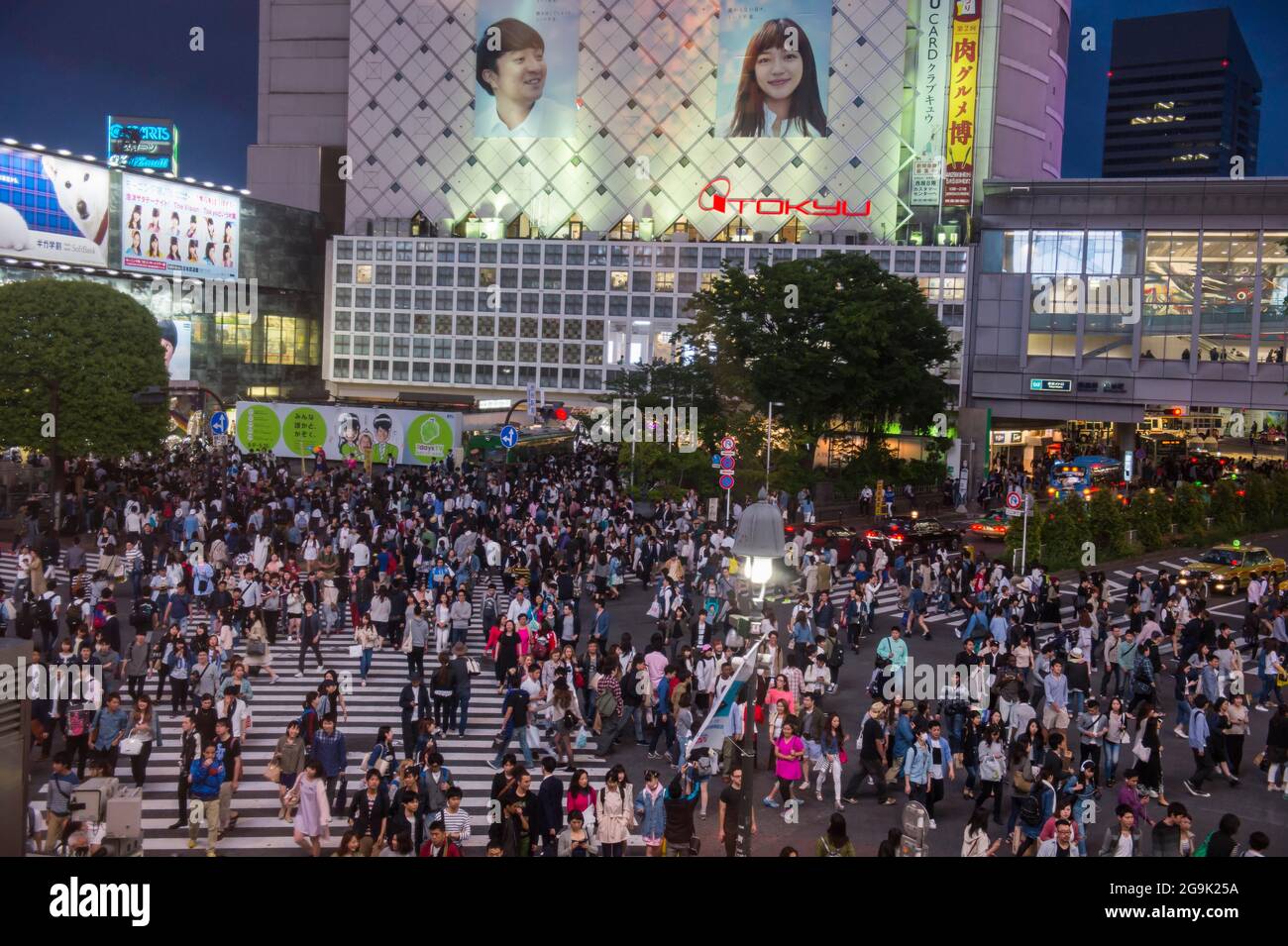 Shibuya traversant la route la plus achalandée du monde, Tokyo, Japon Banque D'Images