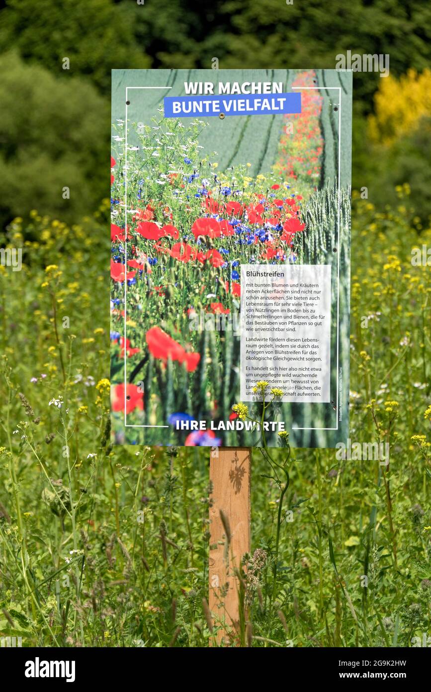 Bandes de fleurs comme habitat pour les petits animaux et les insectes sur les terres agricoles avec affiche publicitaire pour la diversité colorée, Allemagne Banque D'Images