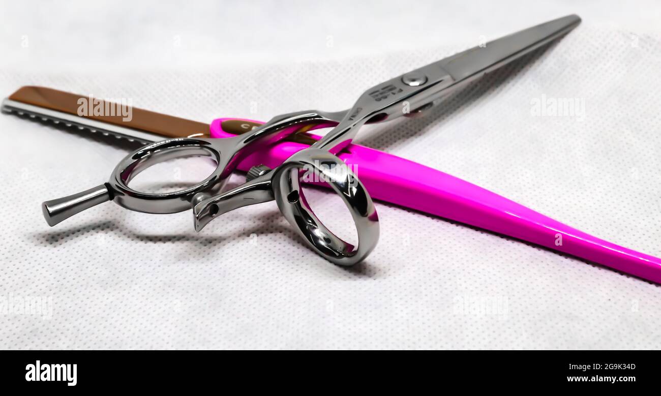 Salon de la vie Banque D'Images