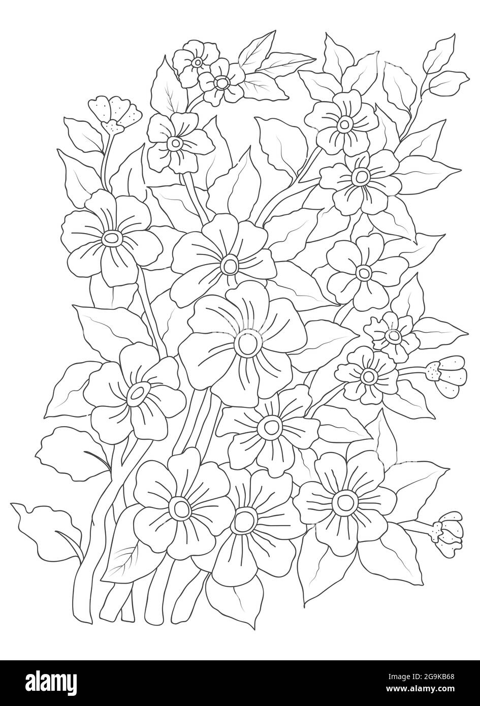 Page de coloriage page vectorielle pour coloriage. Branche fleur Pro Vector Noir et blanc Illustration de Vecteur