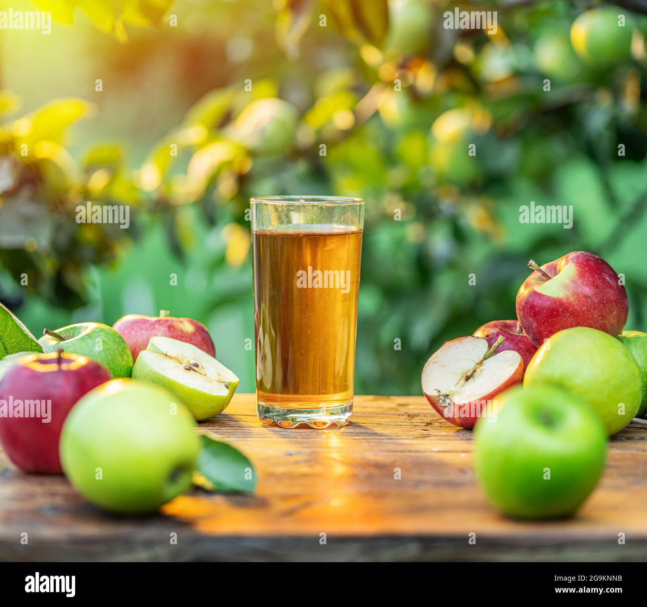Jus de pomme frais et pommes sur une table en bois dans le jardin du verger d'été. Banque D'Images
