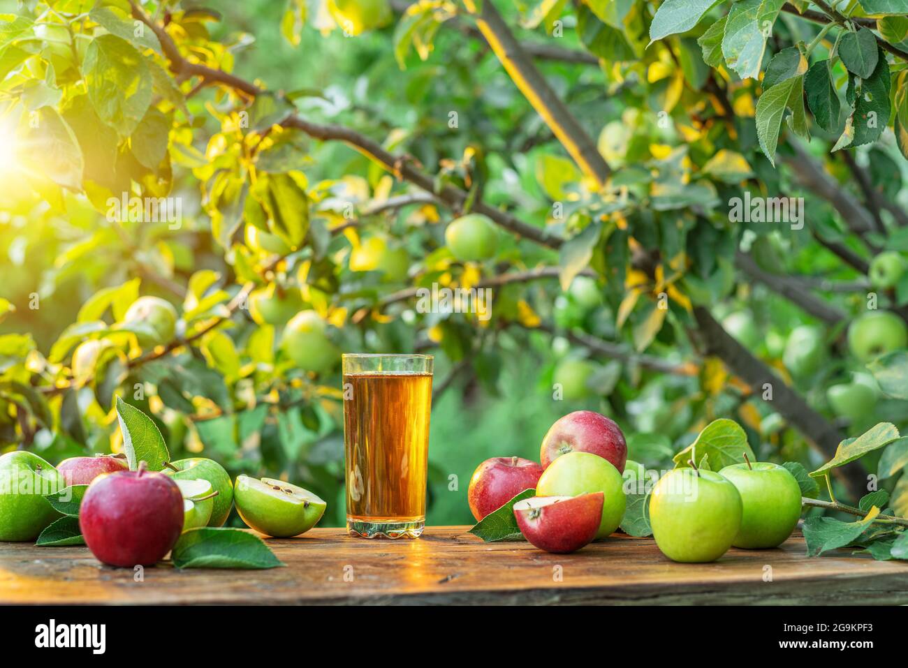Jus de pomme frais et pommes biologiques sur une table en bois. Verger d'été dans le soir, le soleil brille à l'arrière-plan. Banque D'Images