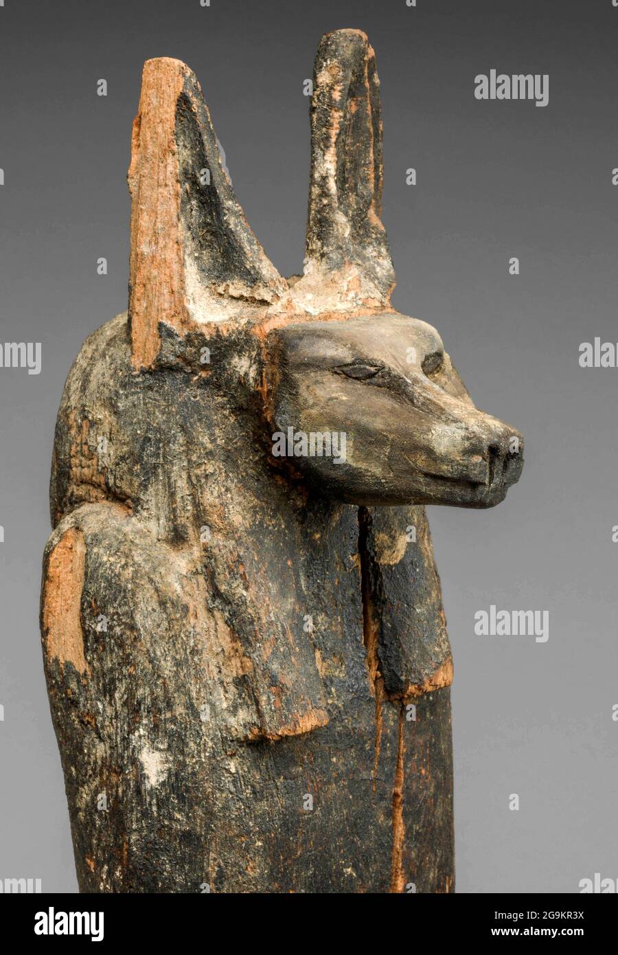 6881. Jackal a dirigé le fils de Dieu égyptien Horus. Figure en bois de la tombe de Nakhtefmut, c. 923 C.-B. Banque D'Images