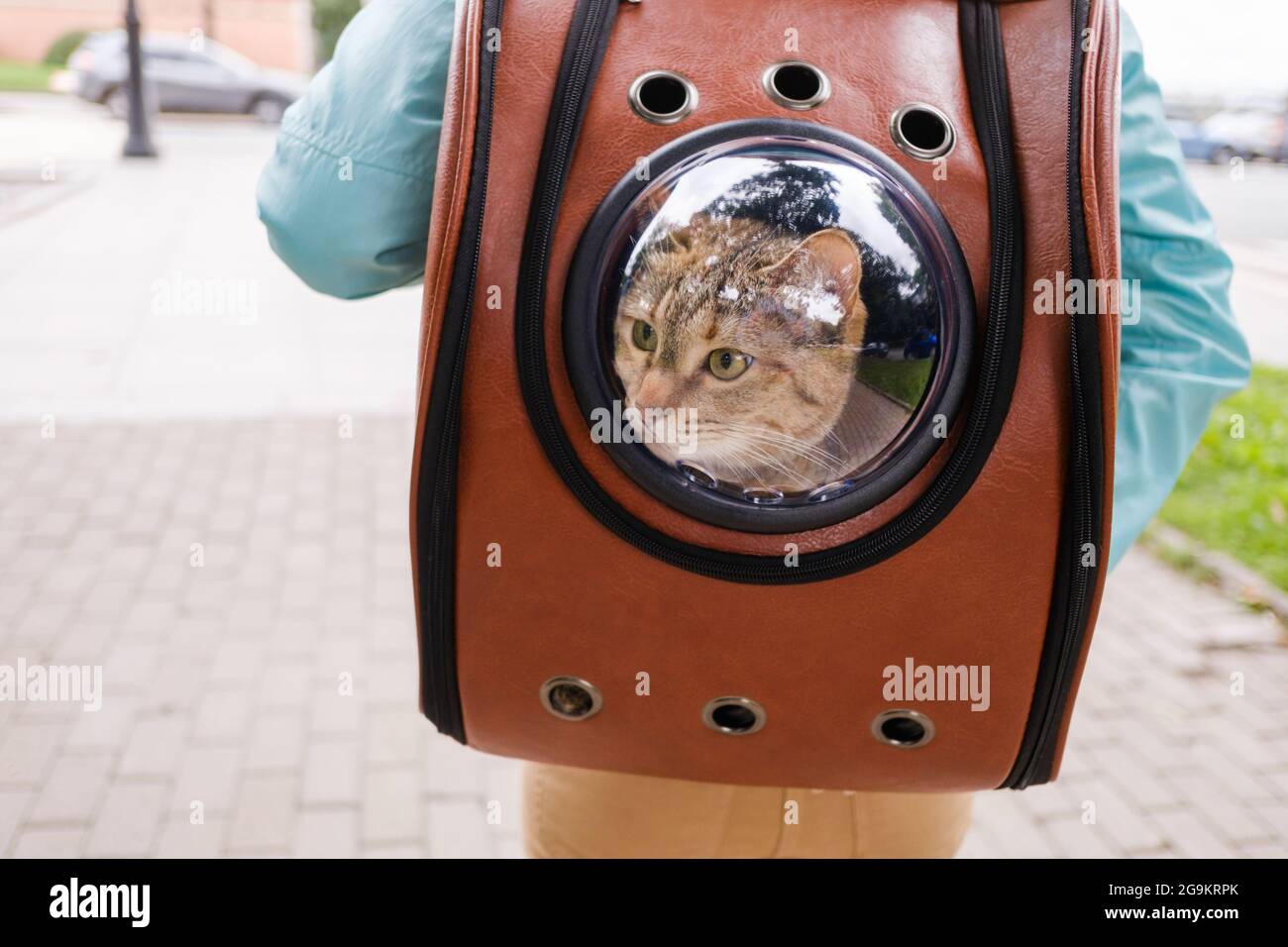 Chat dans le sac à dos avec hublot Photo Stock - Alamy