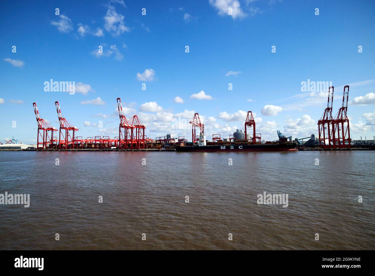 grues au terminal à conteneurs liverpool 2 freeport liverpool angleterre royaume-uni Banque D'Images