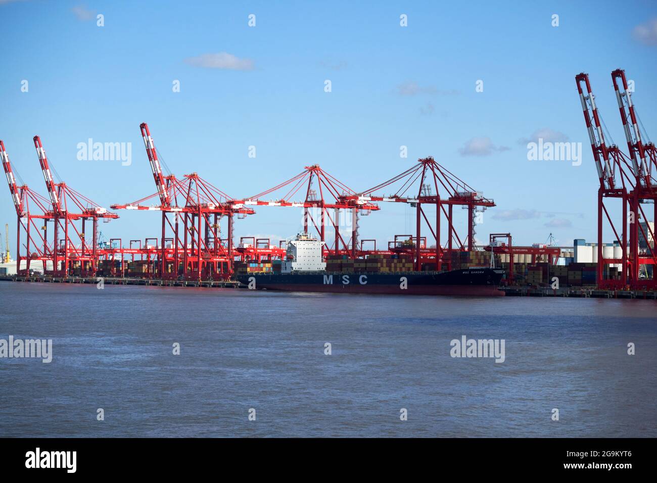 grues au terminal à conteneurs liverpool 2 freeport chargement déchargement du msc sandra navire à conteneurs liverpool angleterre royaume-uni Banque D'Images