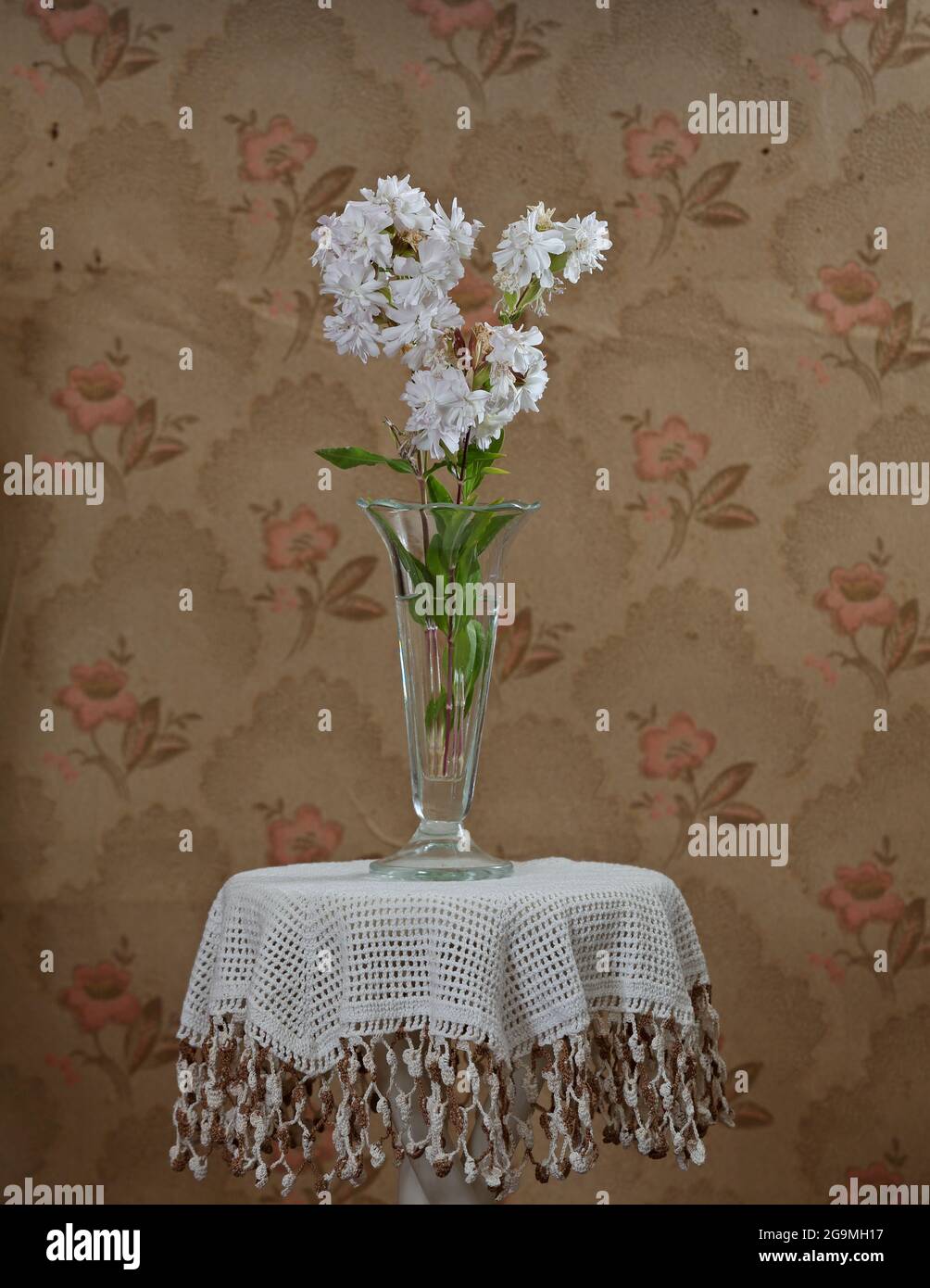Fleurs de soapworth communes dans un vase en verre sur une table Banque D'Images