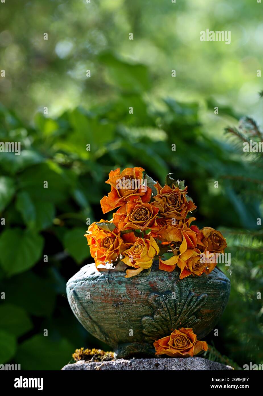 Roses orange et jaune décolorées dans un bol vert Banque D'Images