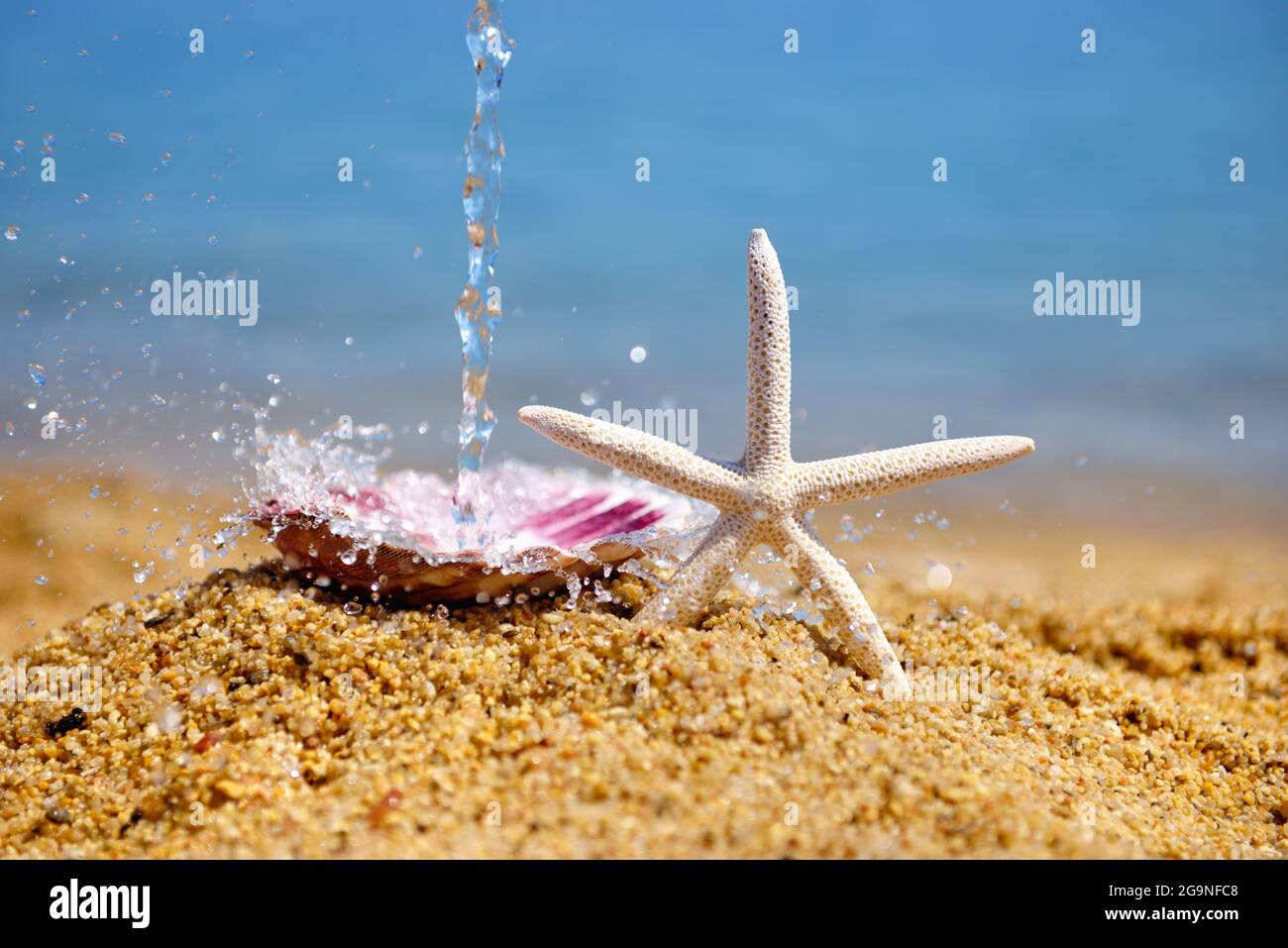 Un poisson-étoiles blanc et une coquille sur la plage sur le fond de la mer et des vagues. Concept d'été Banque D'Images