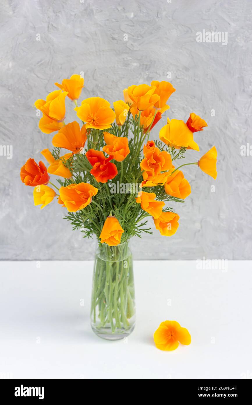 Bouquet de fleurs orange vif dans un vase sur fond de mur en pierre grise. Modèle de carte postale. Concept Fête des femmes, Fête des mères, Bonjour été ou Bonjour Banque D'Images