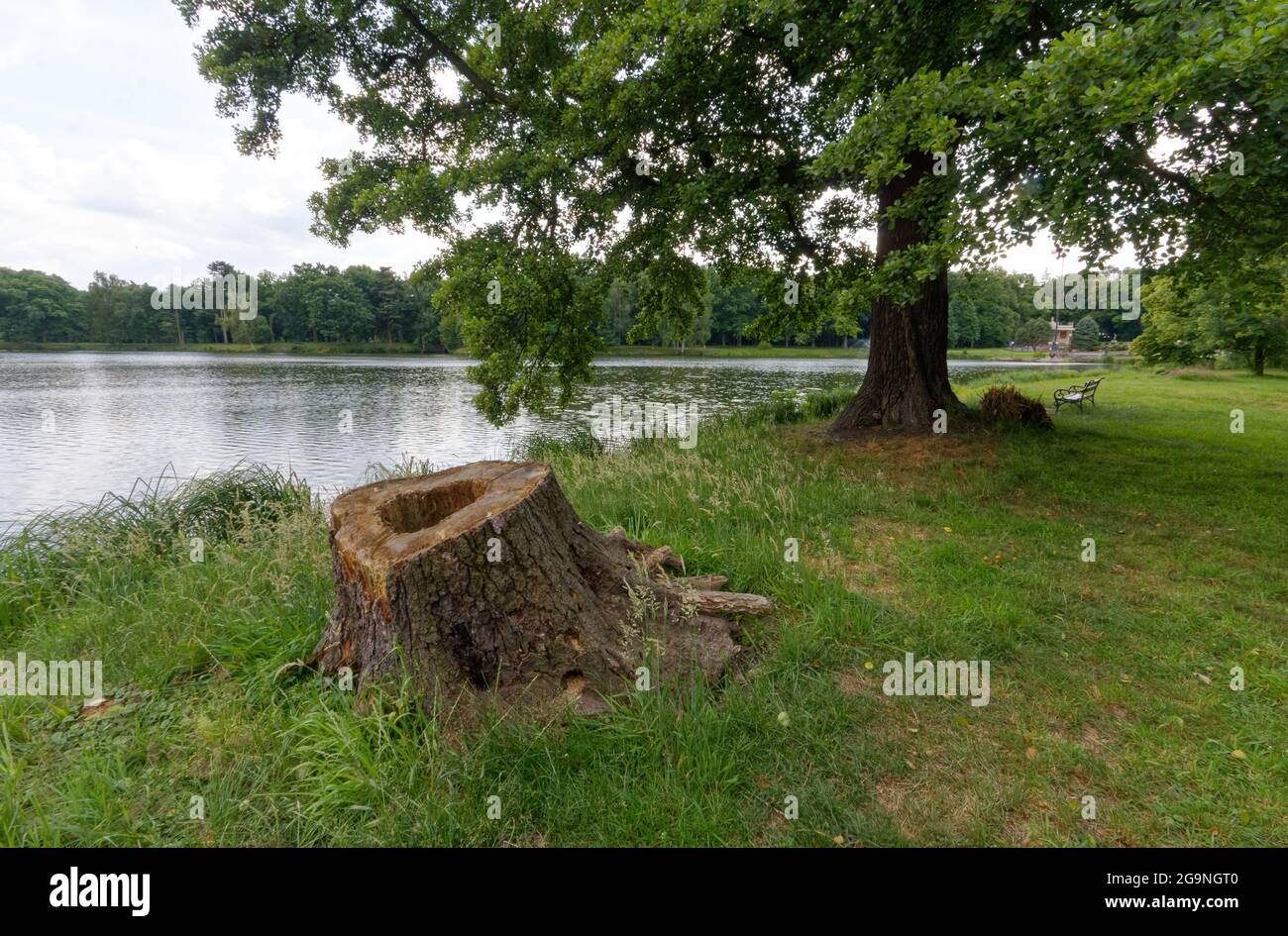 Parc historique du Donnersmarck famimly Palace dedstroyd pendant la Seconde Guerre mondiale et jamais reconstruit par les communistes. Banque D'Images