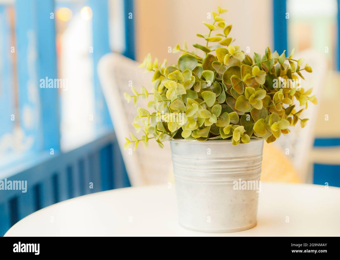 Fleur artificielle décorée près de la fenêtre Banque D'Images