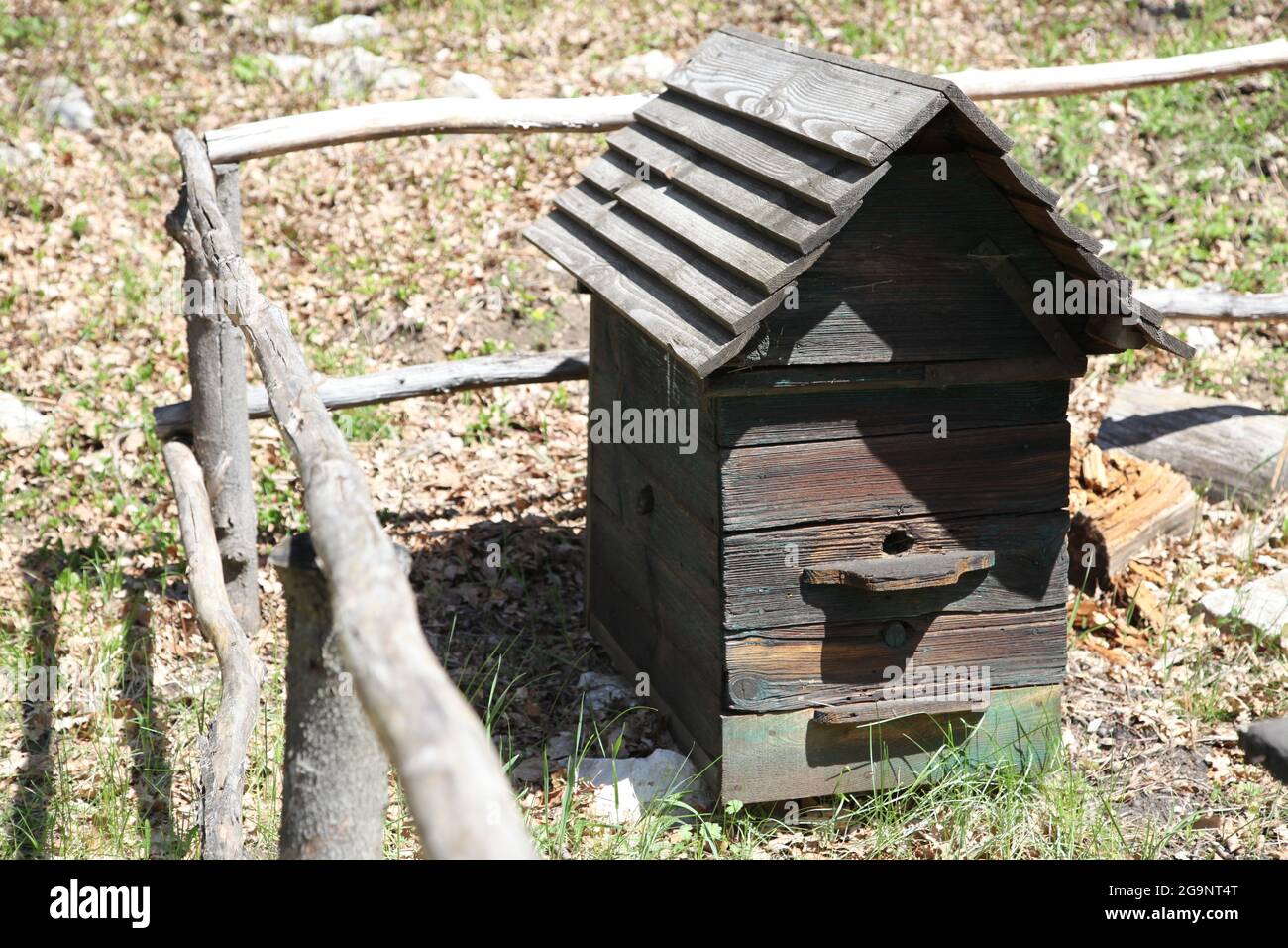 Vieux ul, miel, abeille, musée en plein air à Tokarnia, Tokarnia, apiculture, Banque D'Images