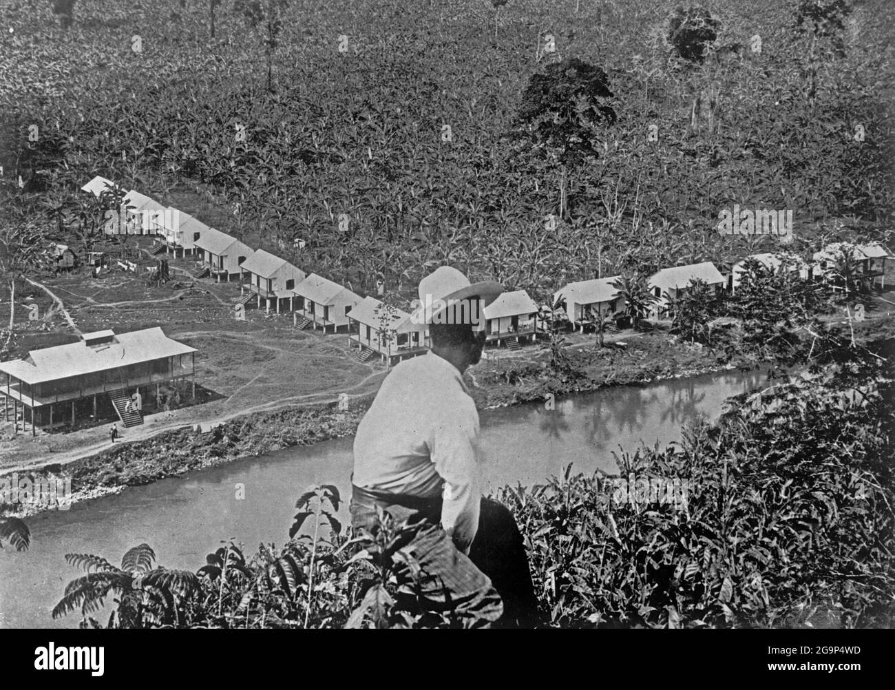 COSTA RICA - vers 1908-1919 - UN homme (probablement un ouvrier de platation) regarde à travers une plantation de bananes à un endroit non identifié au Costa Rica vers 19 Banque D'Images