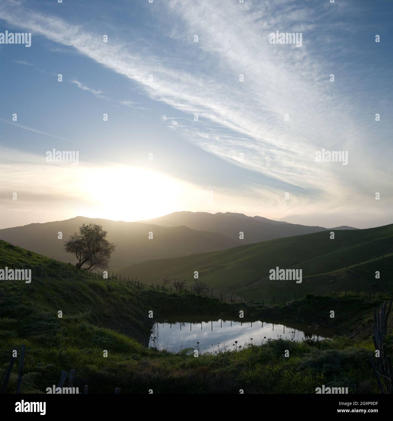les nuages d'arbres et de cirrus se réfléchissent sur un petit étang au coucher du soleil Banque D'Images