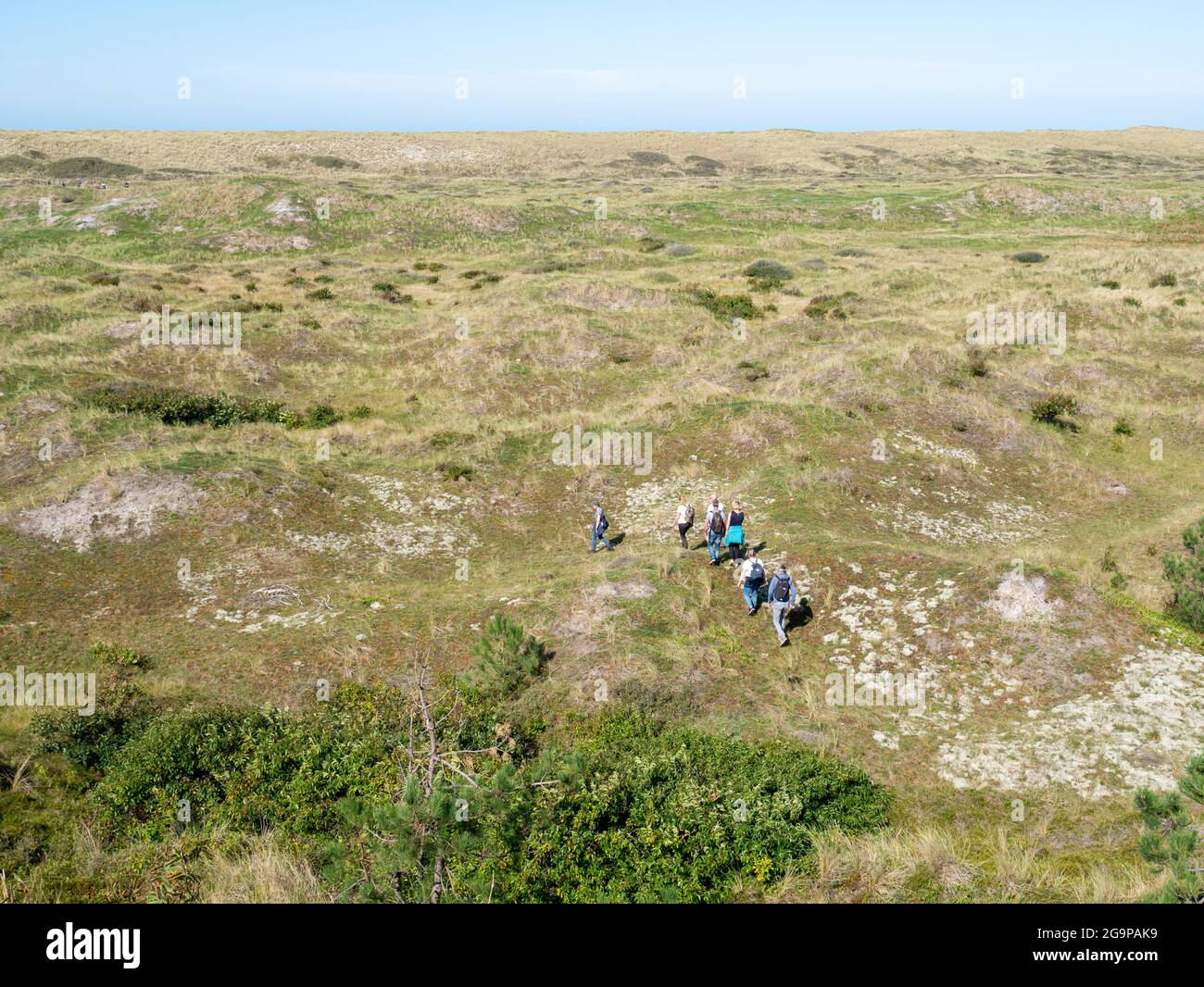 Groupe de marcheurs randonnée dans les dunes de la réserve naturelle de l'île de Frise occidentale Vlieland, Frise, pays-Bas Banque D'Images