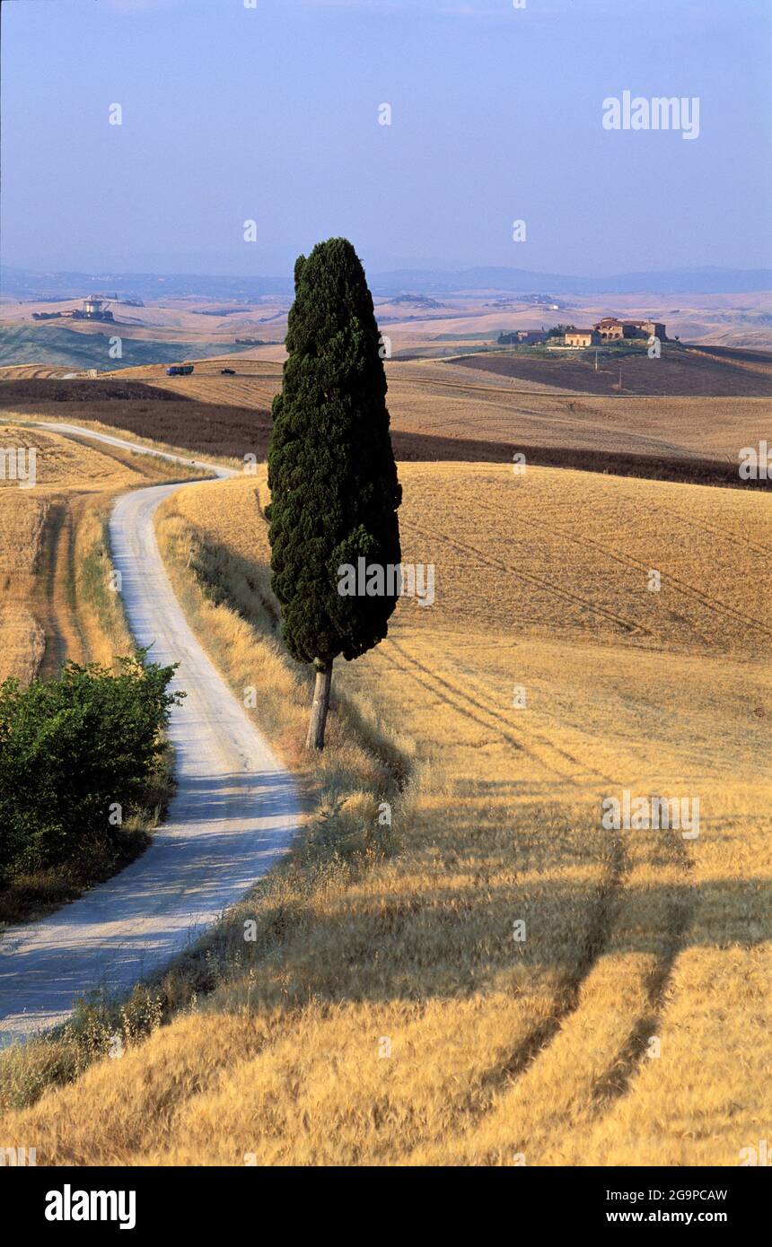 Italie, Toscane, province de Sienne, paysage de Crète Banque D'Images