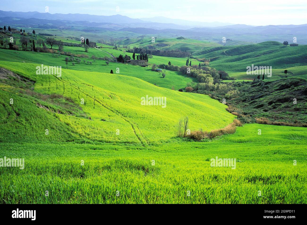 Italie, Toscane, province de Sienne, paysage de Crète Banque D'Images