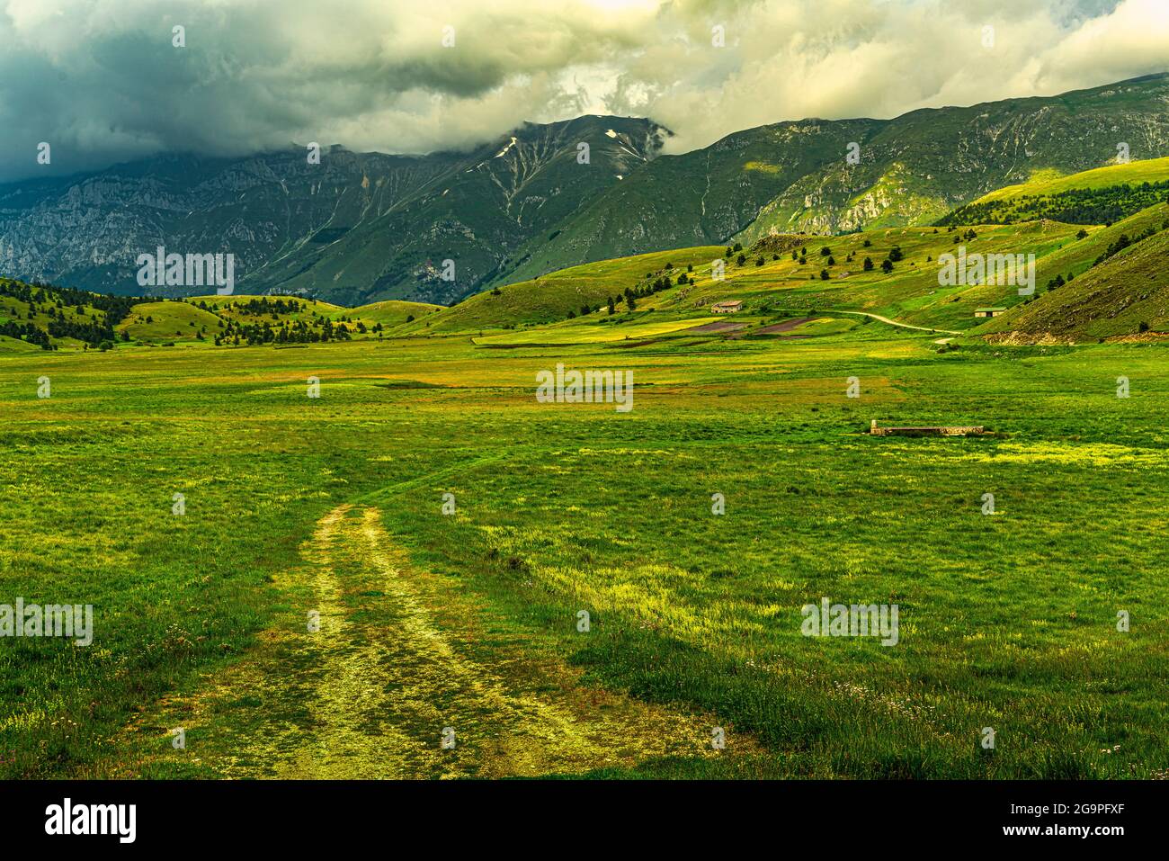 Chemin qui traverse les champs et les collines de Piano di Fugno. Parc national de Gran Sasso et Monti della Laga, Filletto, Abruzzes, Italie, Europe Banque D'Images