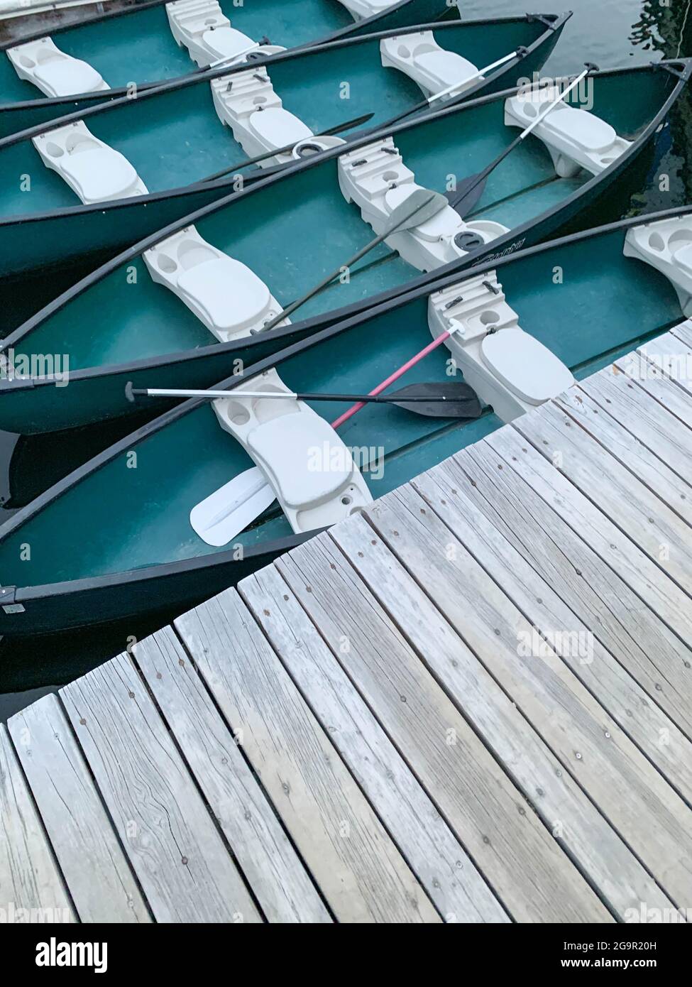 Canoës verts amarrés au port de plaisance de Redfish Lake Banque D'Images