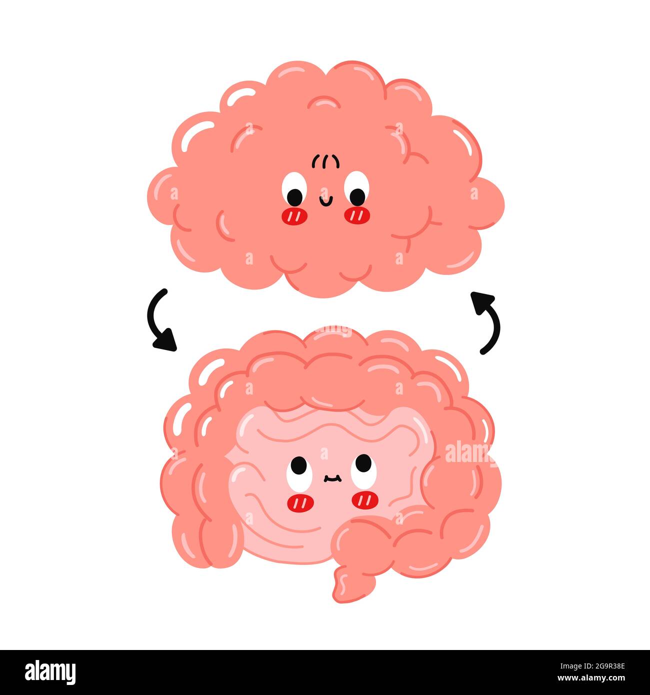 Mignon drôle heureux intestin humain et organes du cerveau et le cercle flèches.Vector caricature kawaii caractère illustration icône.isolé sur fond blanc.cerveau et intestin dessin animé Doodle personnage concept Illustration de Vecteur