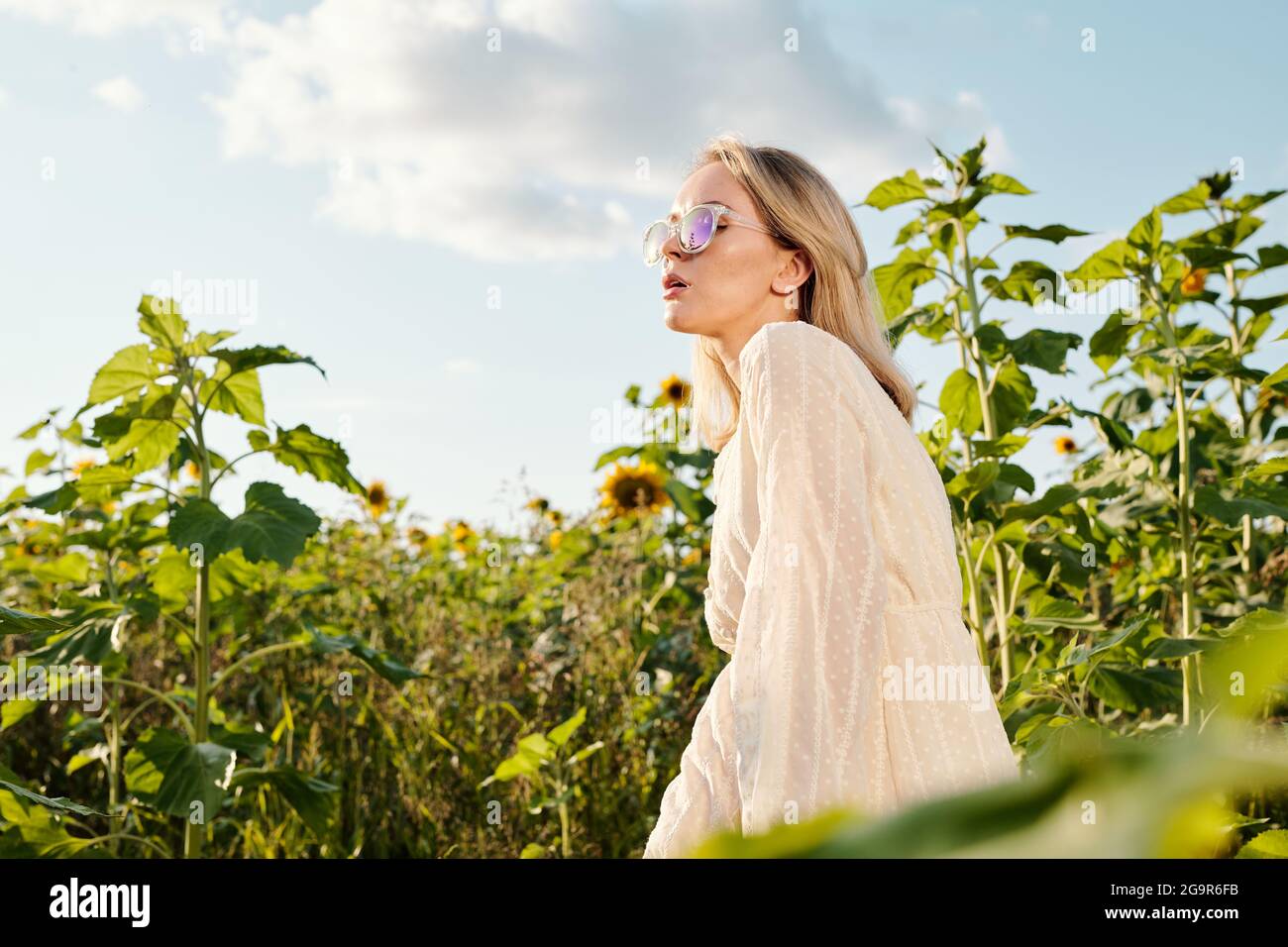 Jolie blonde jeune femme en robe blanche tenant une bouteille de huile de tournesol en se tenant parmi de grandes fleurs devant caméra sur le terrain Banque D'Images