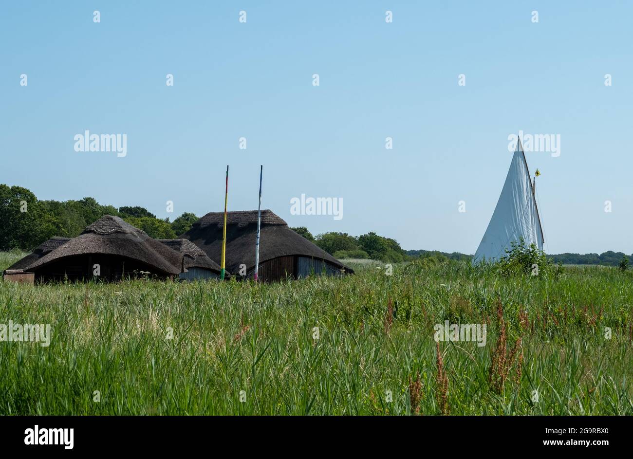 Les serres de chaume sont nichées parmi les grandes roseaux à herbe de Hickling Broad, à l'est de Norwich, dans le Norfolk, au Royaume-Uni. Bateau à voile au loin. Banque D'Images