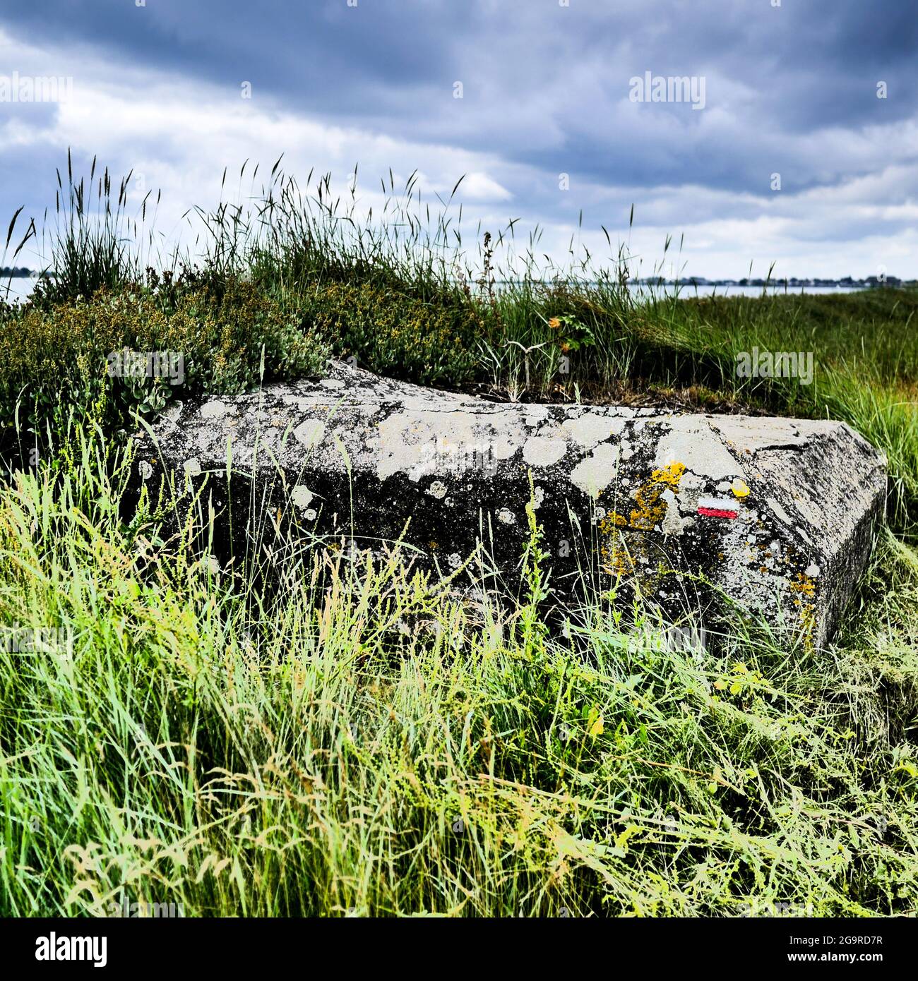 blockhaus allemand de la Seconde Guerre mondiale, département de la Manche, Cotentin, Normandie, France Banque D'Images