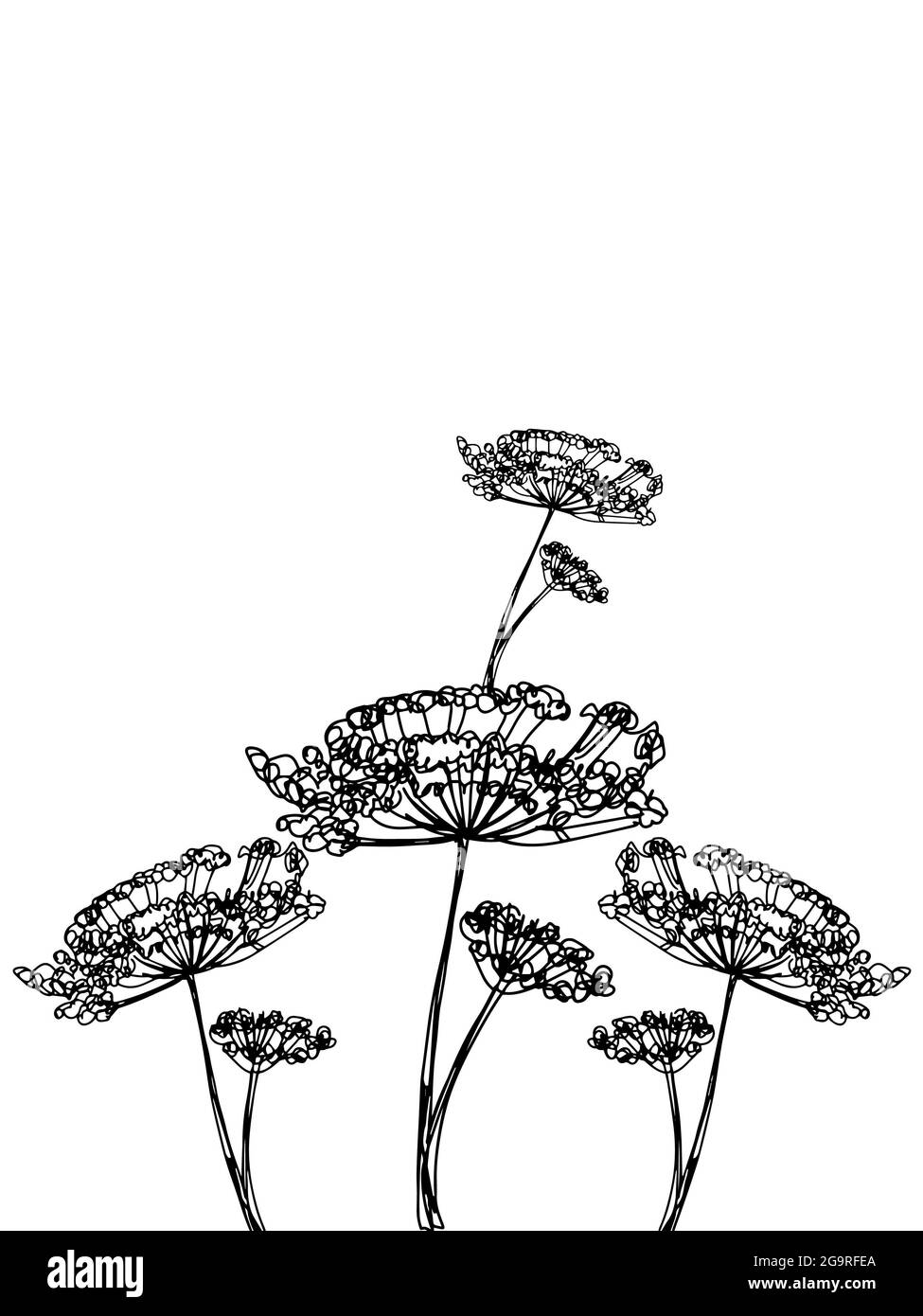 Fleur de ressort , motif, dessin de ligne d'illustration. Banque D'Images