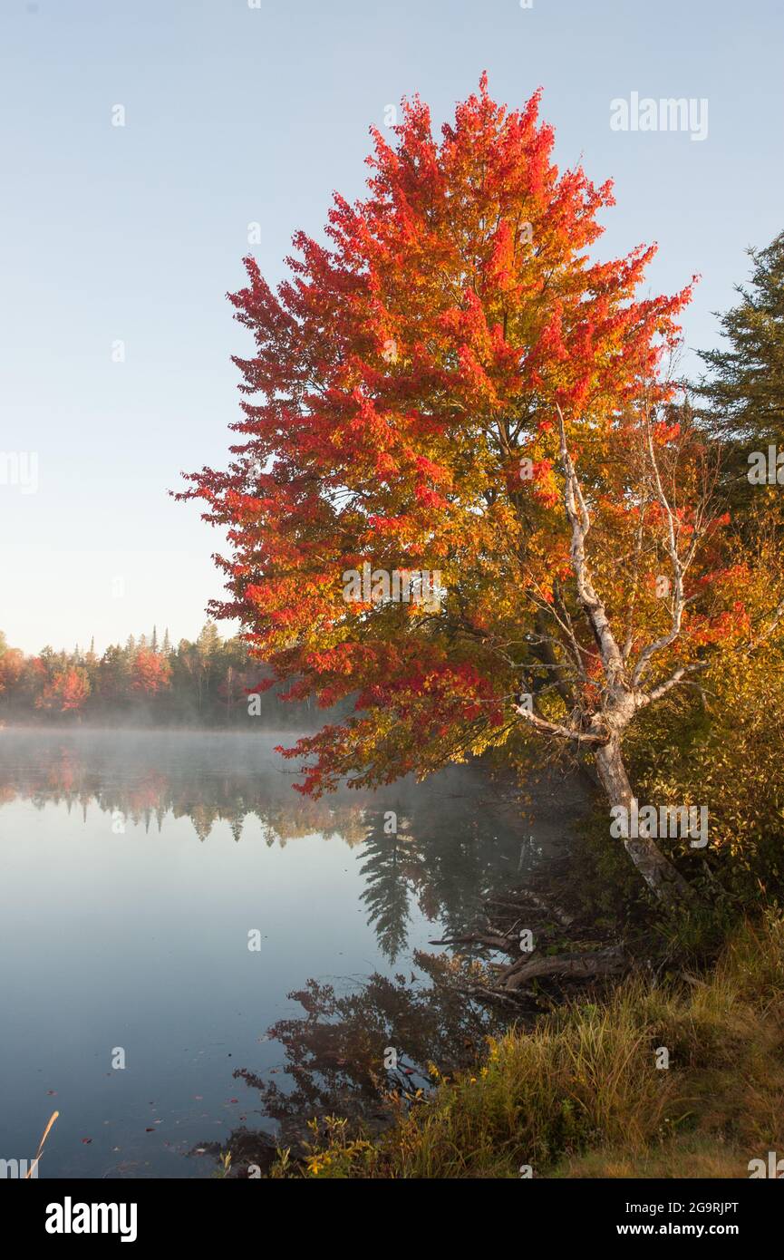 Androscoggin River, Milan, New Hampshire, États-Unis Banque D'Images