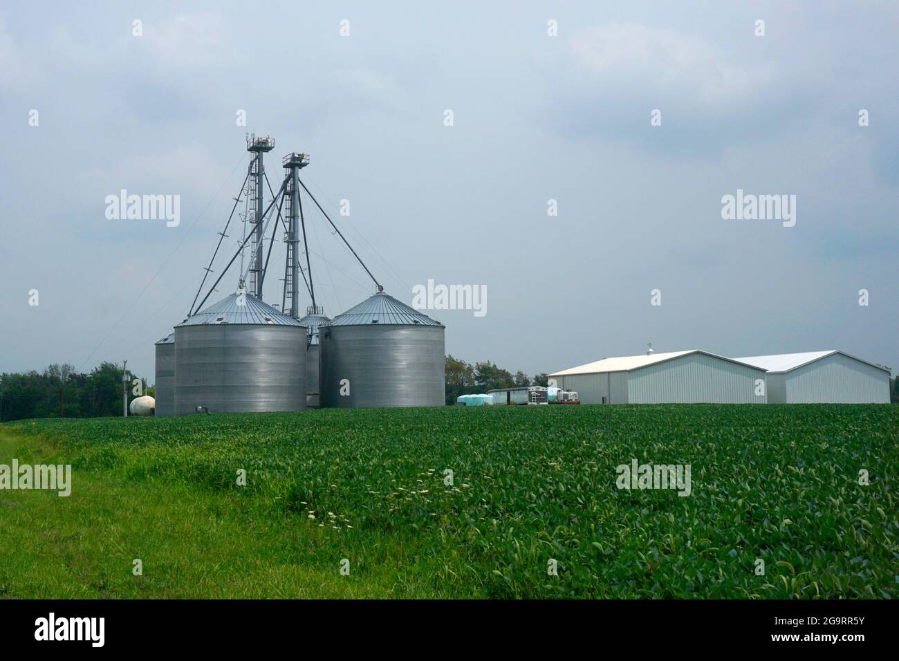 Bâtiments agricoles à côté d'un champ de soja sous un ciel nuageux Banque D'Images