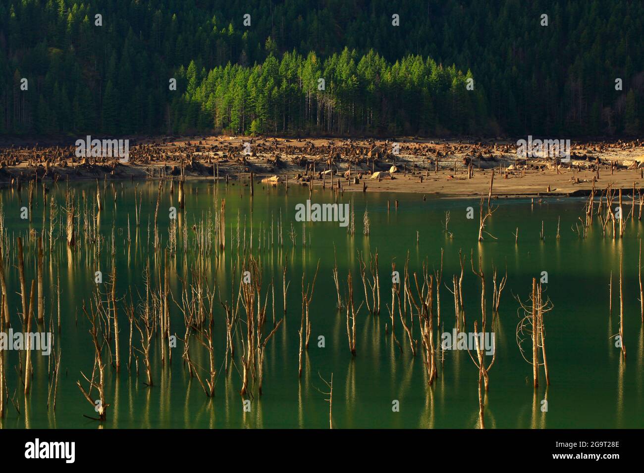 Une image extérieure d'un lac forestier du nord-ouest du Pacifique Banque D'Images