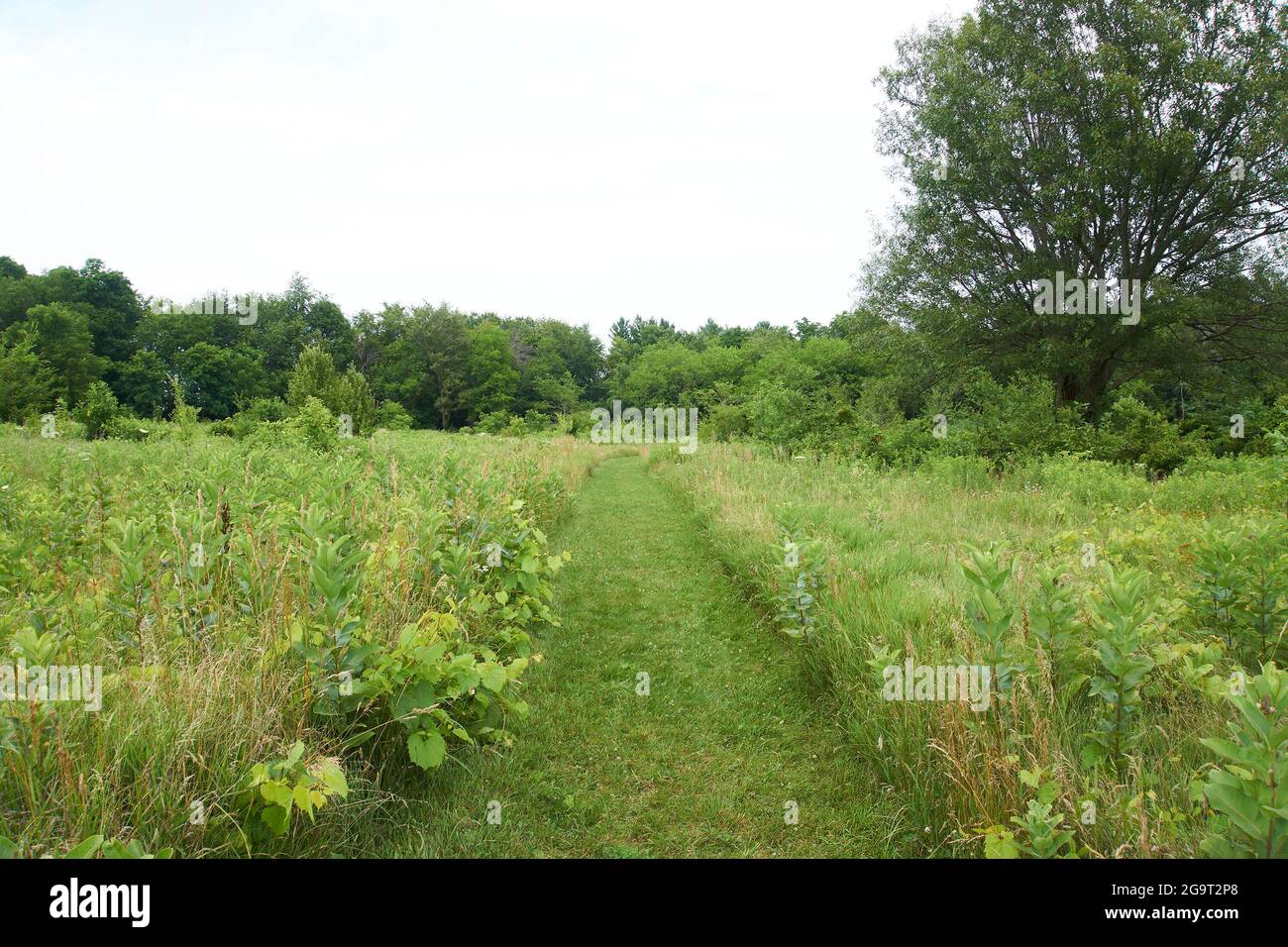 Parc national Aztalan, Lake Mills, Wisconsin. Banque D'Images