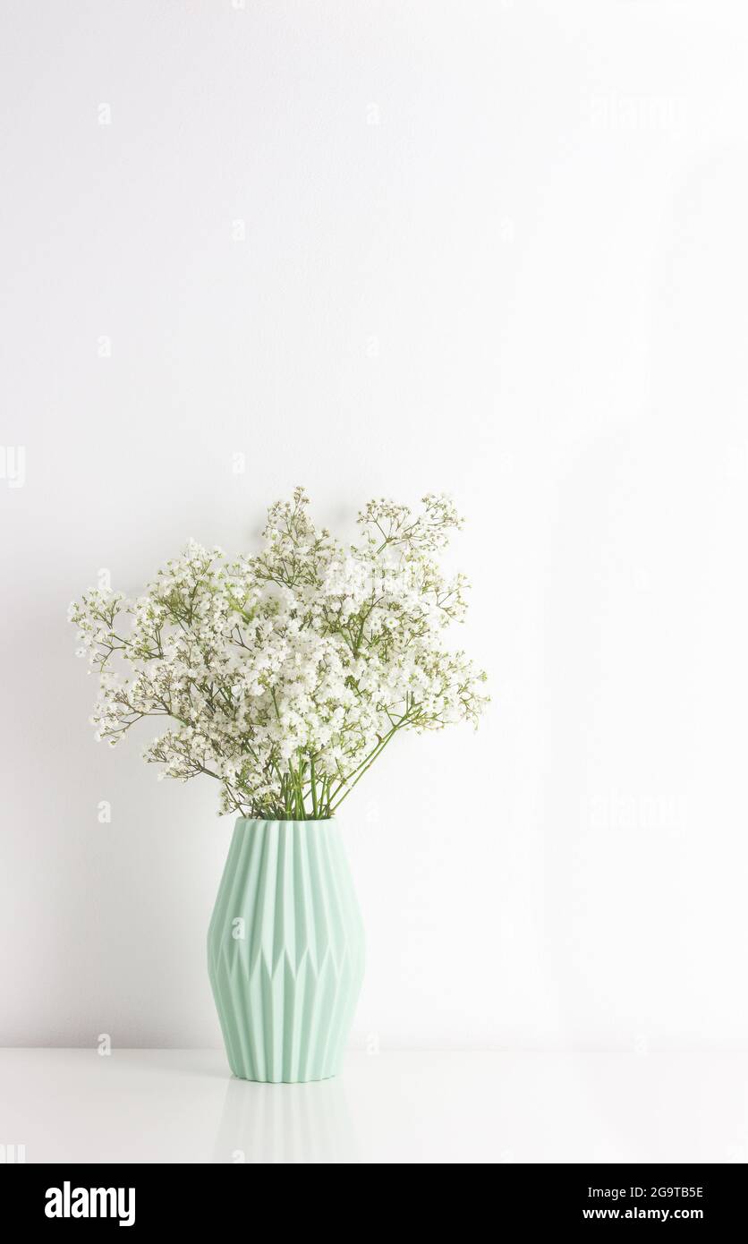 Fleur de gitsophila blanche dans un vase en céramique vert clair sur fond de mur blanc. Décoration intérieure concept. Placer pour le texte. Banque D'Images