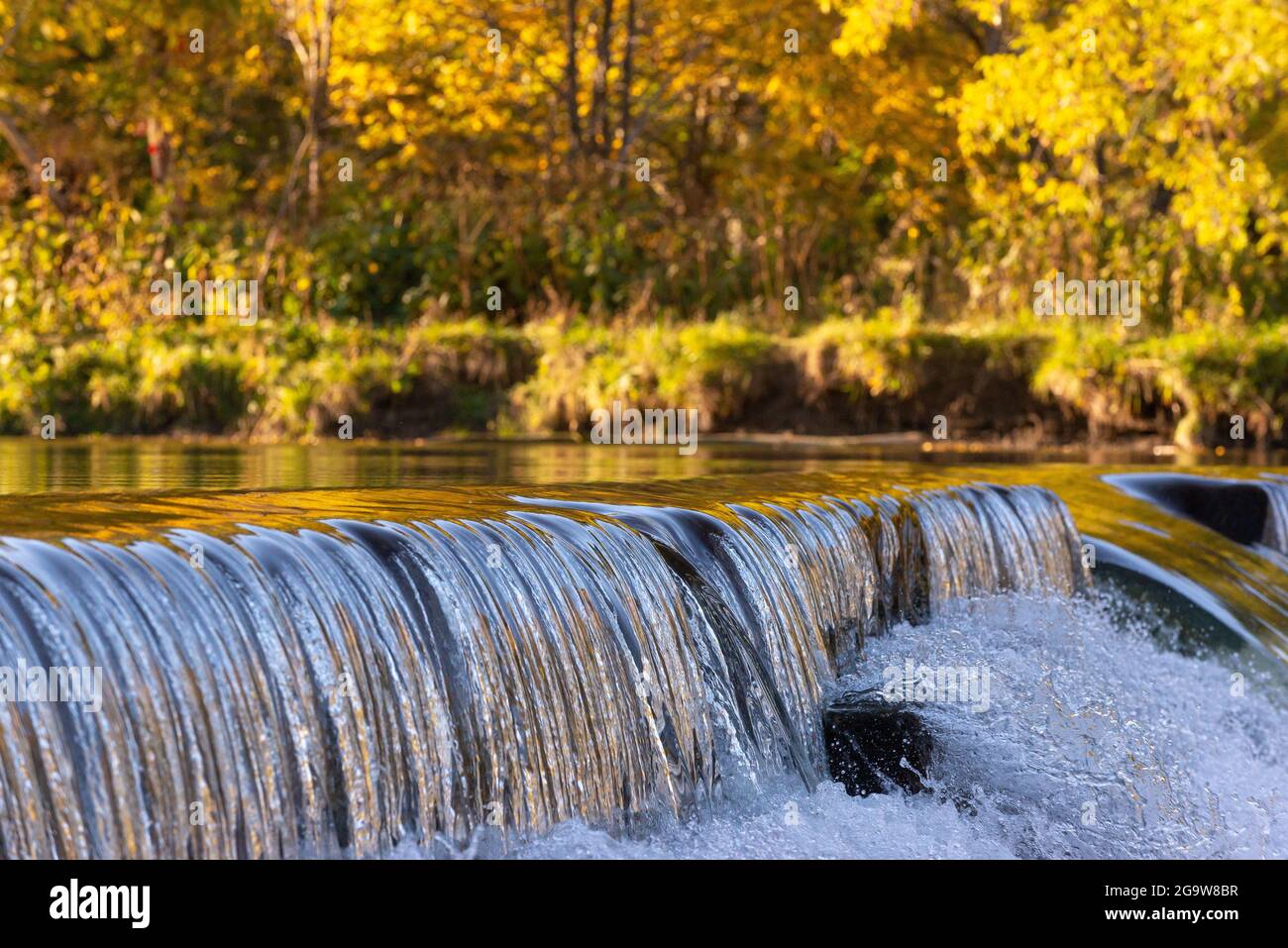 Barrage de Old Mill à Humber River à l'automne, Toronto (Ontario), Canada Banque D'Images