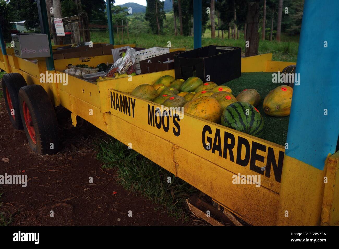 Nanny Moo's Garden Produce stall, Palmerston Highway, près d'Innisfail, Queensland, Australie. Pas de pr Banque D'Images