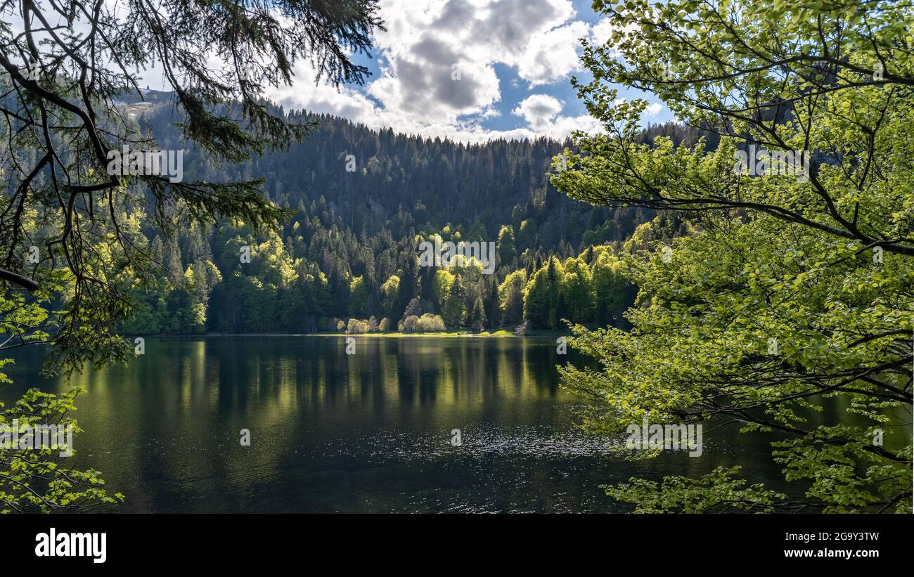 Vue imprenable sur le Feldsee au printemps Banque D'Images