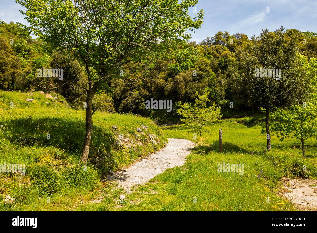 Sentier à travers le paysage rural de printemps, Falgars d'en Bas, la Garrotxa, Gérone, Espagne Banque D'Images