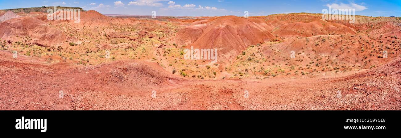 Vue sur le paysage depuis Tiponi point, parc national de la forêt pétrifiée, Arizona, États-Unis Banque D'Images