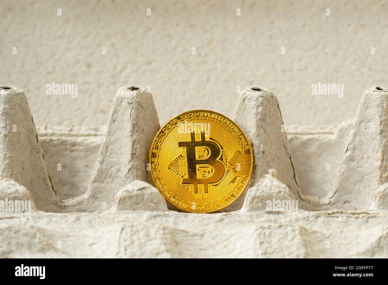 Golden Bitcoin dans un plateau pour les œufs de poulet. Bitcoins Farm -  concept. Bitcoin dans une boîte en carton. Concept de crypto-monnaie Photo  Stock - Alamy