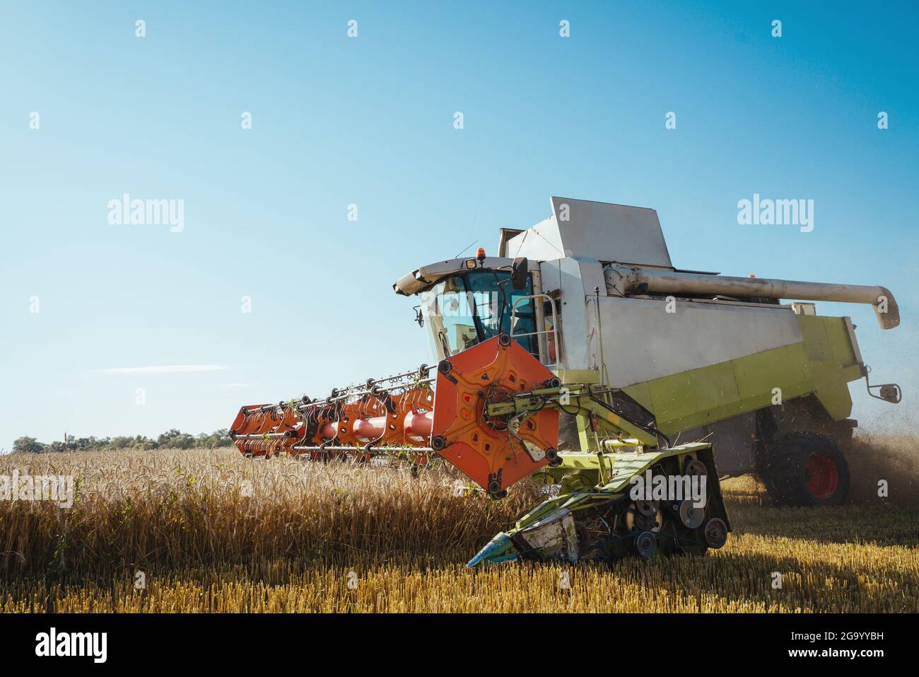 La moissonneuse-batteuse récolte du blé mûr. Arrière-plan. Concept d'une récolte riche. Image Agriculture Banque D'Images