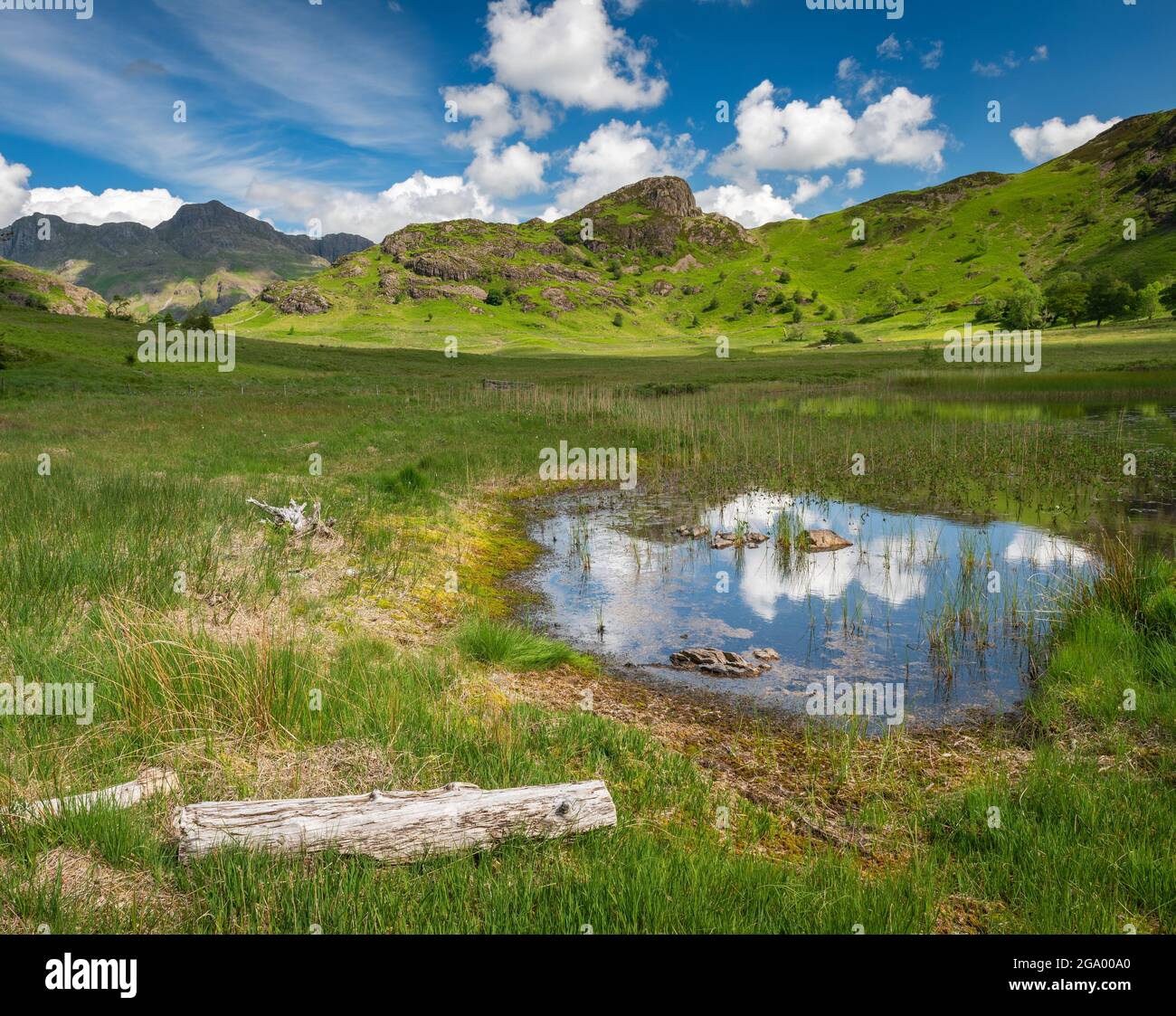 Blea tarn, Langdale Pikes, Side brochet, Lake district National Park, Cumbria, Angleterre, Royaume-Uni Banque D'Images