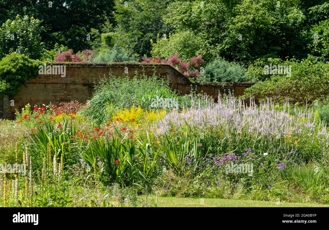 Bressingham Gardens près de DISS dans Norfolk. Jardin coloré influencé par l'ethos naturaliste de plantation avec une large palette de couleurs. Banque D'Images